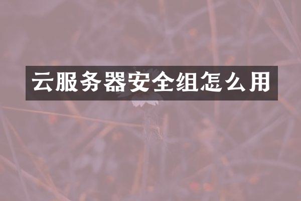 云服务器安全组怎么用