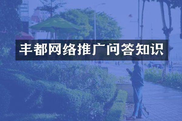 丰都网络推广问答知识