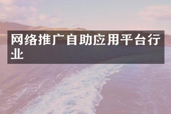 网络推广自助应用平台行业