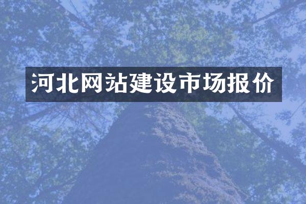 河北网站建设市场报价