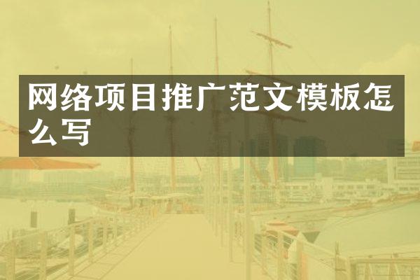 网络项目推广范文模板怎么写