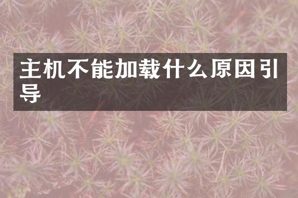 主机不能加载什么原因引导