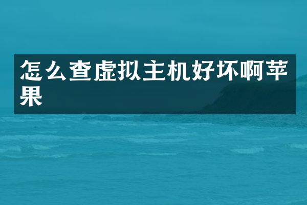 怎么查虚拟主机好坏啊苹果