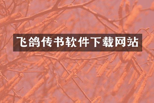飞鸽传书软件下载网站