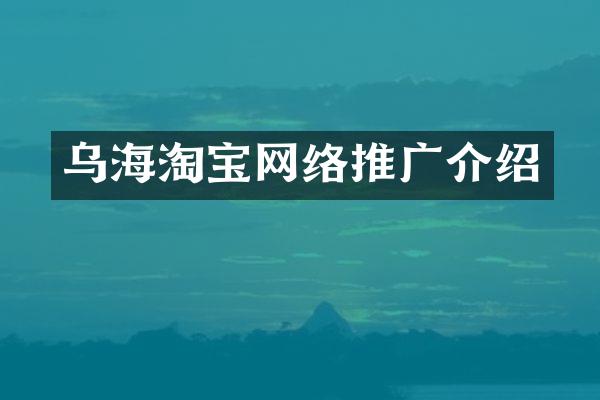 乌海淘宝网络推广介绍