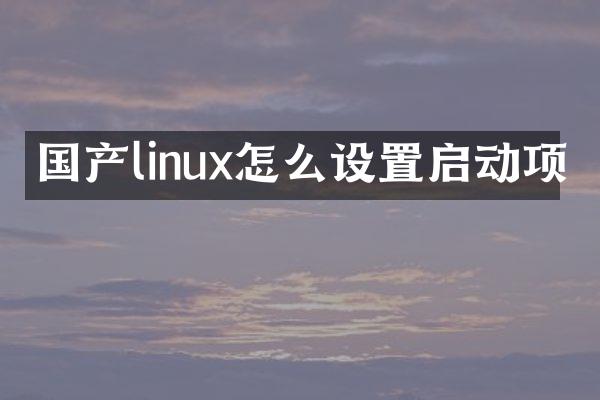 国产linux怎么设置启动项