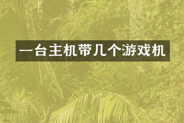 一台主机带几个游戏机