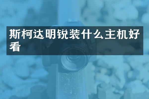 斯柯达明锐装什么主机好看