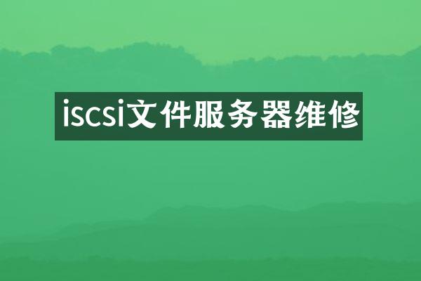 iscsi文件服务器维修