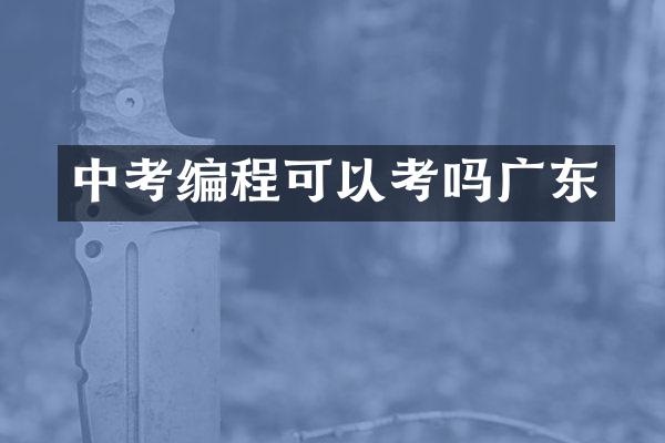 中考编程可以考吗广东