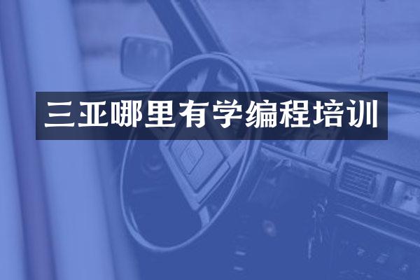 三亚哪里有学编程培训