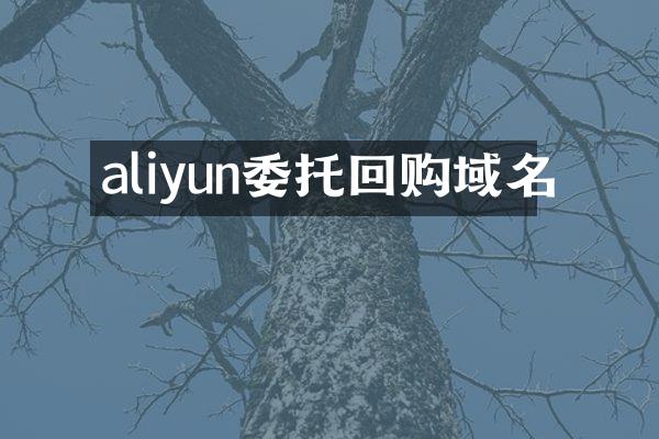 aliyun委托回购域名