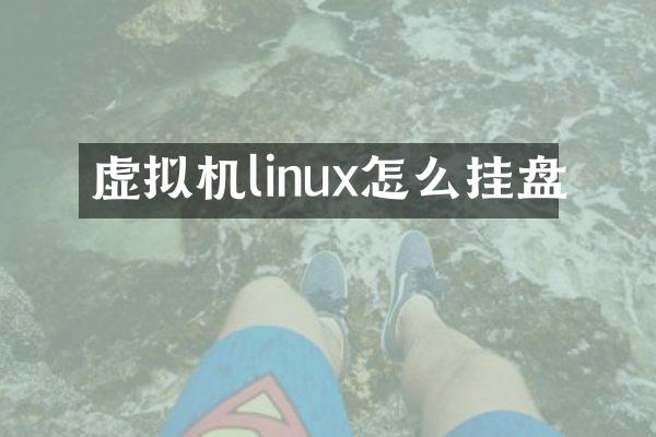 虚拟机linux怎么挂盘