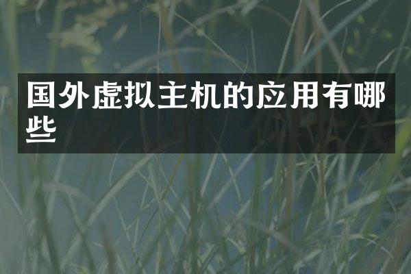 国外虚拟主机的应用有哪些