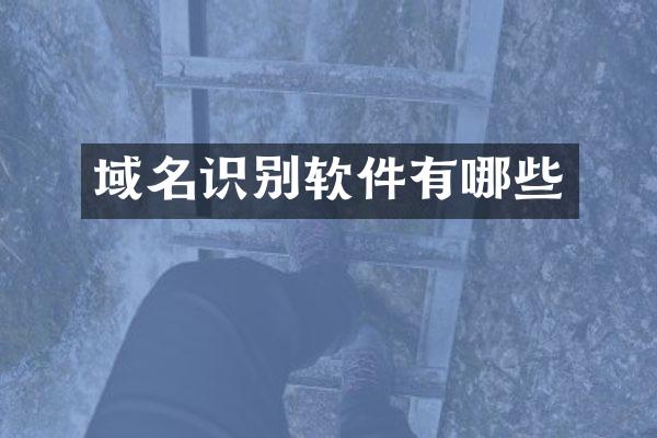域名识别软件有哪些