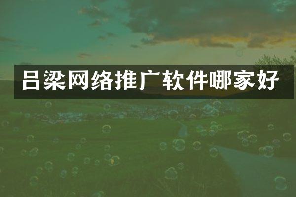 吕梁网络推广软件哪家好