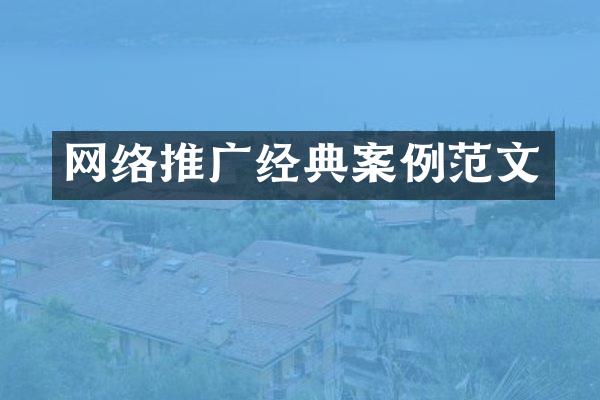 网络推广经典案例范文