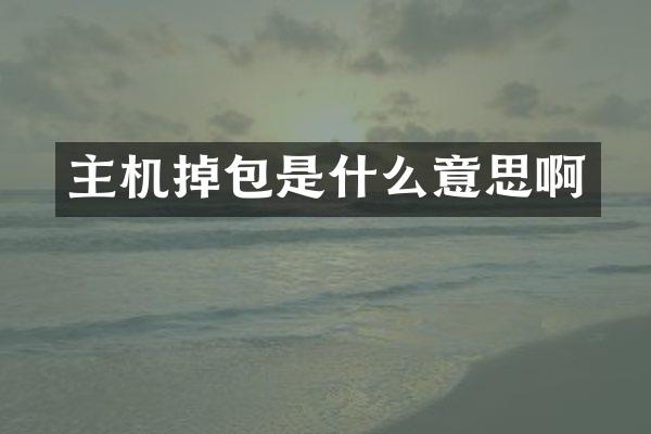 主机掉包是什么意思啊