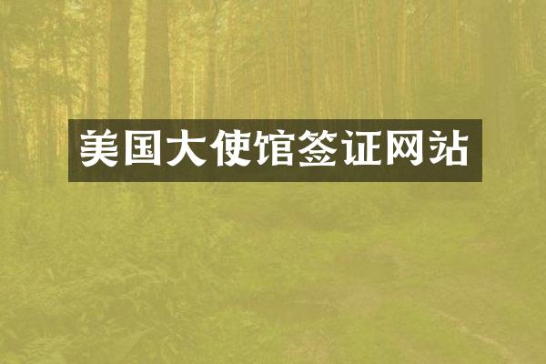 美国大使馆签证网站