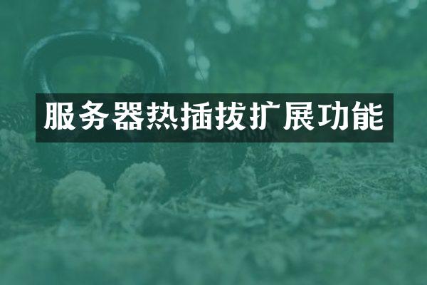 服务器热插拔扩展功能