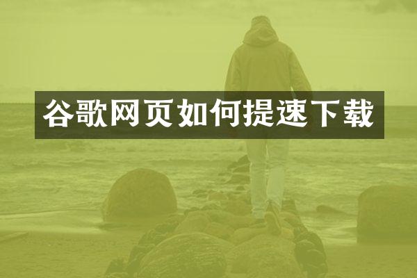 谷歌网页如何提速下载