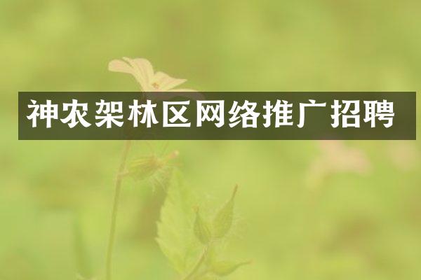 神农架林区网络推广招聘