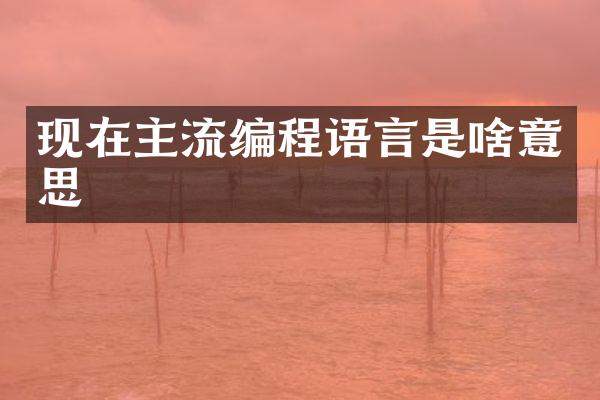现在主流编程语言是啥意思