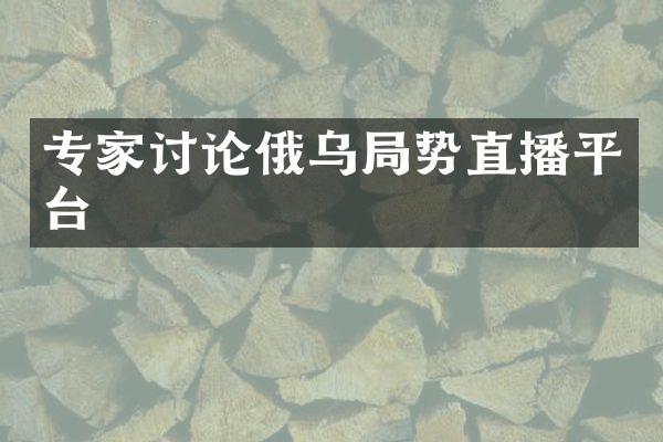 专家讨论俄乌局势直播平台