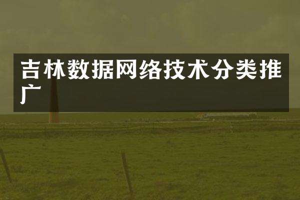吉林数据网络技术分类推广