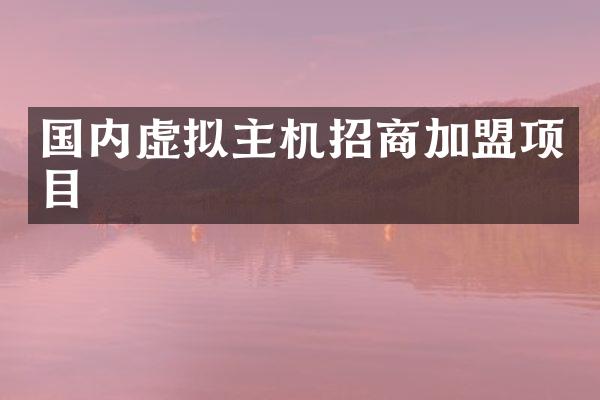 国内虚拟主机招商加盟项目