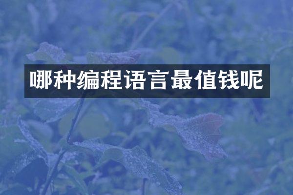 哪种编程语言最值钱呢