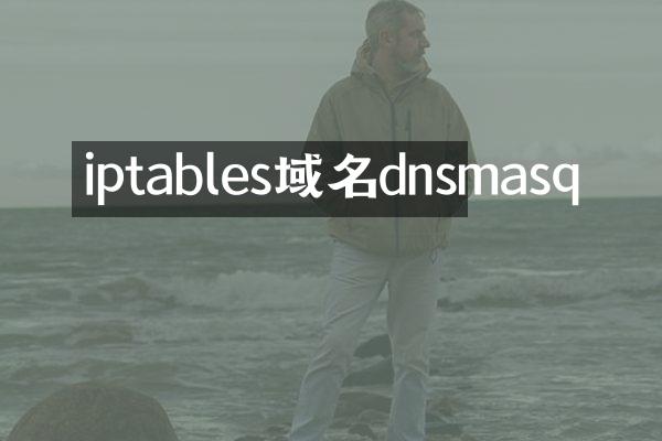 iptables域名dnsmasq