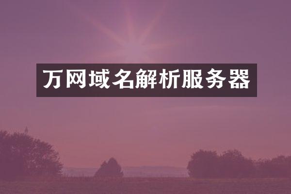 万网域名解析服务器