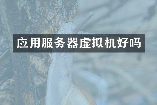 应用服务器虚拟机好吗