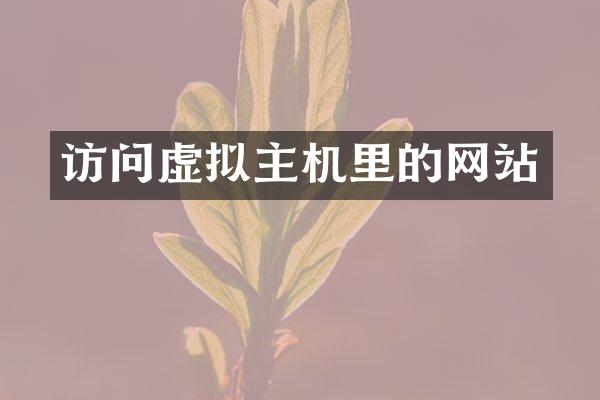 访问虚拟主机里的网站