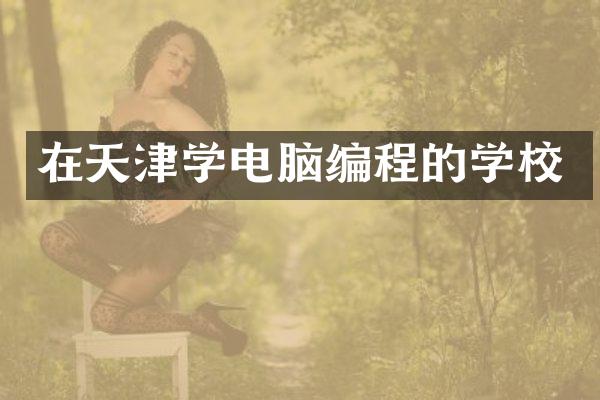 在天津学电脑编程的学校