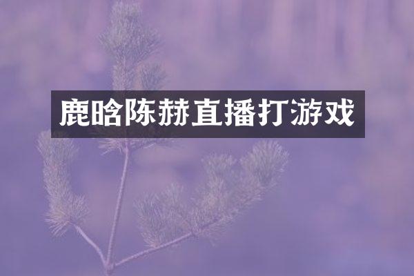 鹿晗陈赫直播打游戏