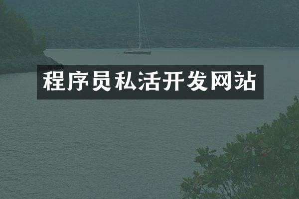 程序员私活开发网站