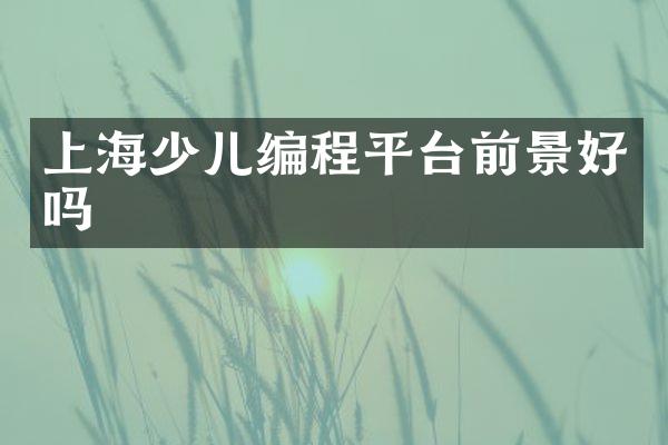上海少儿编程平台前景好吗