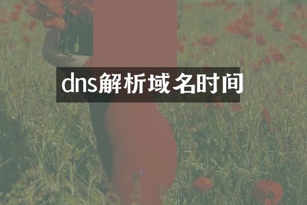 dns解析域名时间