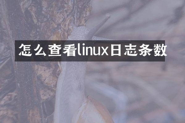 怎么查看linux日志条数