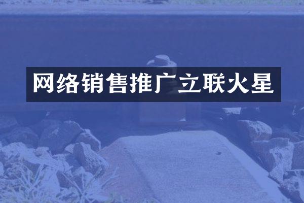 网络销售推广立联火星