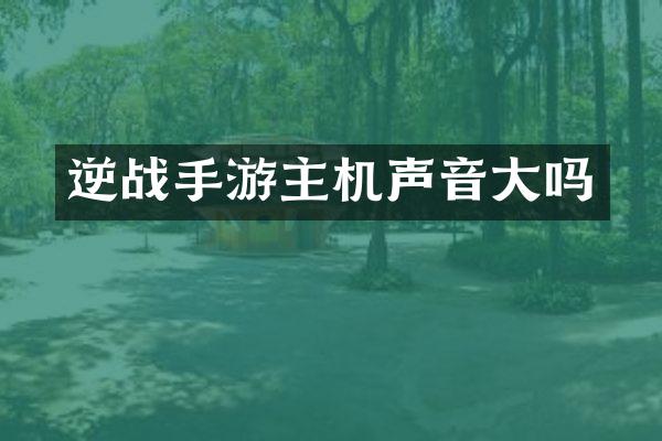 逆战手游主机声音大吗