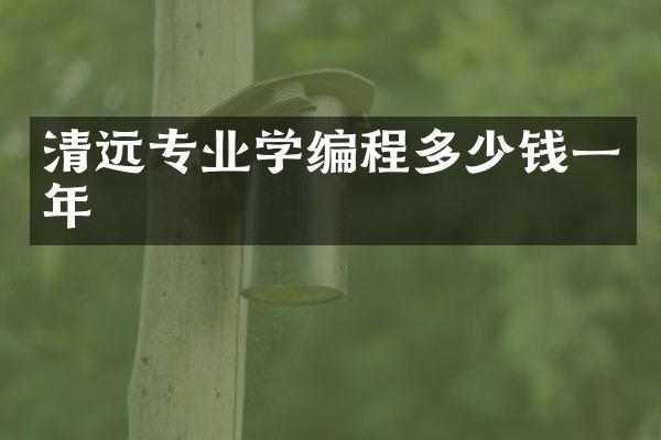 清远专业学编程多少钱一年