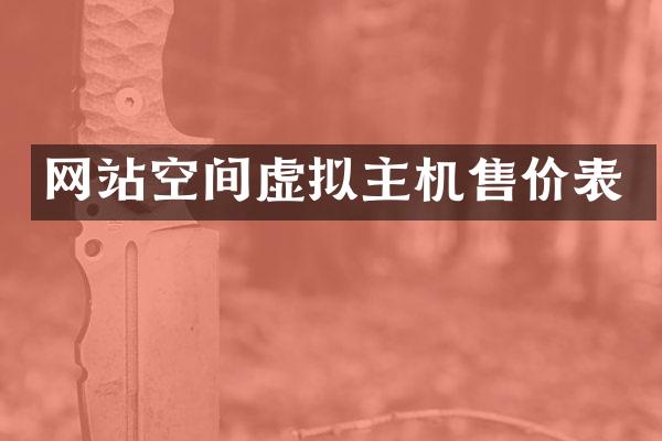 网站空间虚拟主机售价表