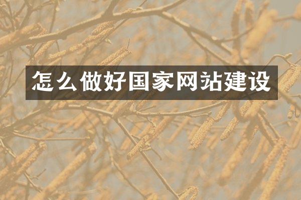 怎么做好国家网站建设