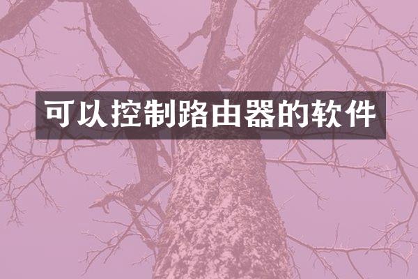 可以控制路由器的软件