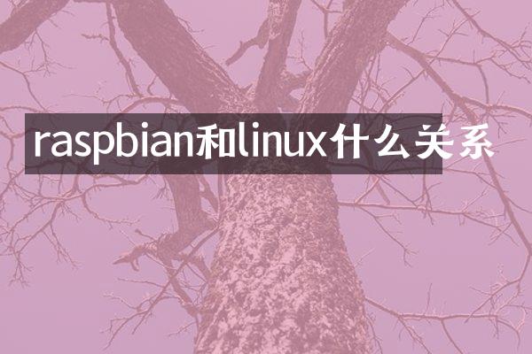 raspbian和linux什么关系