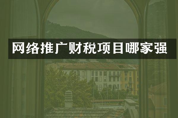 网络推广财税项目哪家强