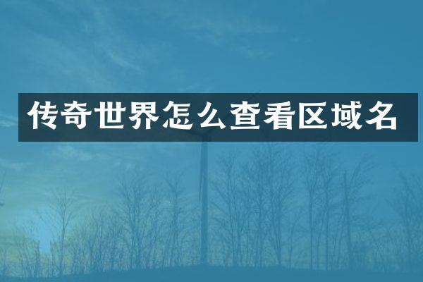 传奇世界怎么查看区域名